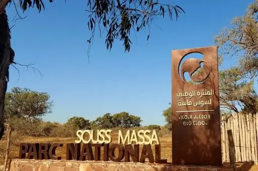 Souss Massa National Park & Discovery of Saharan Wildlife